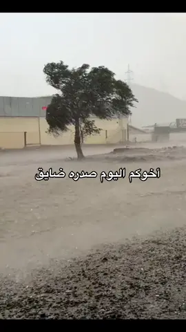 #في هذا اليوم 