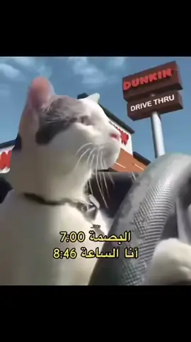#في هذا اليوم 