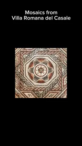 #LearnOnTikTok #learnwithtiktok #history #Roman #mosaic #ancienthistory #ancientrome #unesco #dig #archeology 