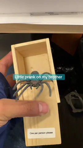 #spiderprank #prankbox @Infinite childhood interest 19 #jumpscareprank 
