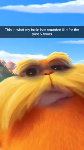 Help what did I mean by that #lorax #fyp #skrillex 