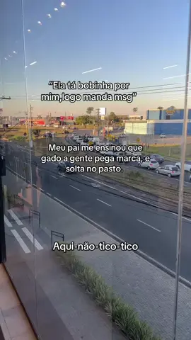 Aqui não tico tico 