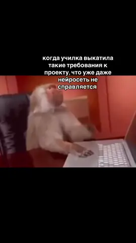 Покупайте готовый проект только в нашем тг:  individualnyiiproekt 🤍📲  #индивидуальныйпроект #проектдляшколы #итоговыйпроект #школа #индивидуальныйитоговыйпроект                        