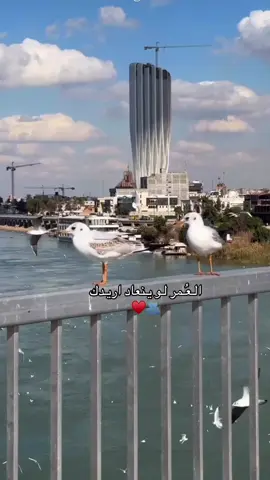 العُـمر لو ينعاد اريدك🫂♥️
