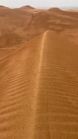 الشتاء الله يعجل به #fyp #capcut #pov #الشتاء #الصيف #الخرج #الضاحي #اكسبلور #السعودية #viral #هاشتاق #مالي_خلق_احط_هاشتاقات🧢 #عشوائيات #بر #اعادة_النشر🔃 #الشعب_الصيني_ماله_حل😂😂 #fyyyyyyyyyyyyyyyy #tiktok 