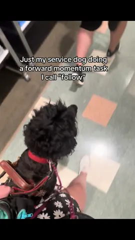 Super helpful when I’m dizzy or dissociated! #fyp #foryou #foryoupage #servicedog #servicedogsoftiktok #servicedogtask 