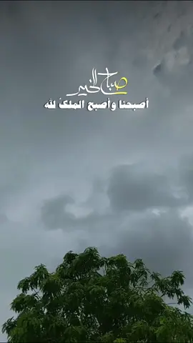 ‏أصبحنا واصبح الملك لله رب العالمين 