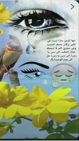 #مرات حيل ختنك 💔 #شعب_الصيني_ماله_حل #كسبلور_explor #creatorsearchinsights #