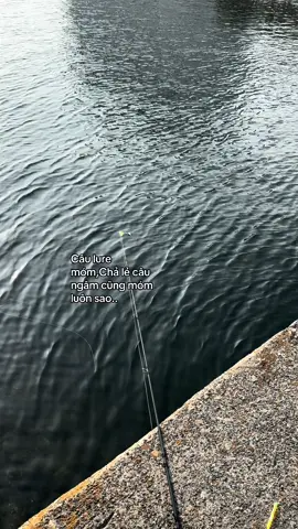 Chả lẻ thế sao?🤦🏻‍♂️ #fishing #caucagiaitri #cauca #xuhuong 