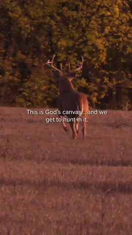 Creation is His masterpiece Psalm 24:1