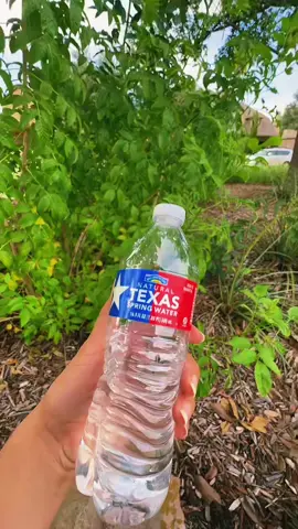 بهترین هوای روز #texas #bestone 