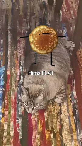 Fry Is A Pancake  #Meme #MemeCut #CapCut  #catsoftiktok 