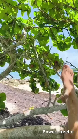 Todo no es