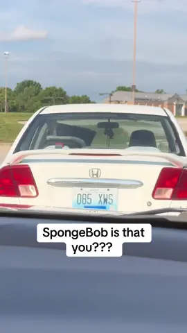 so confused #spongebob 