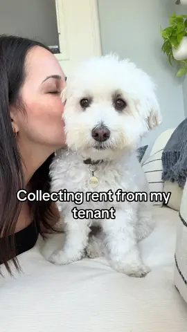 rent is due soon #rentcollection #dogsoftiktok #fyp 