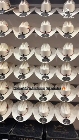 Colección Minotauro 24k 🔥👌🏼 #minotauro #minotauro24k #okcorralwesternwear #okcorralchicago #fypシ 