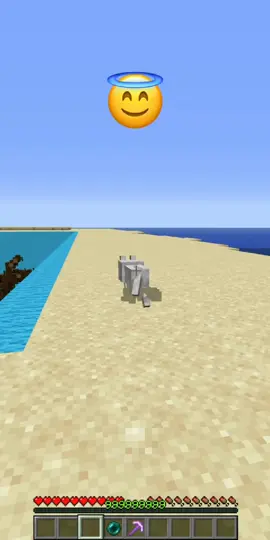 #Minecraft #chellenge #minecraftbuilding #minecraftmemes #foryour 