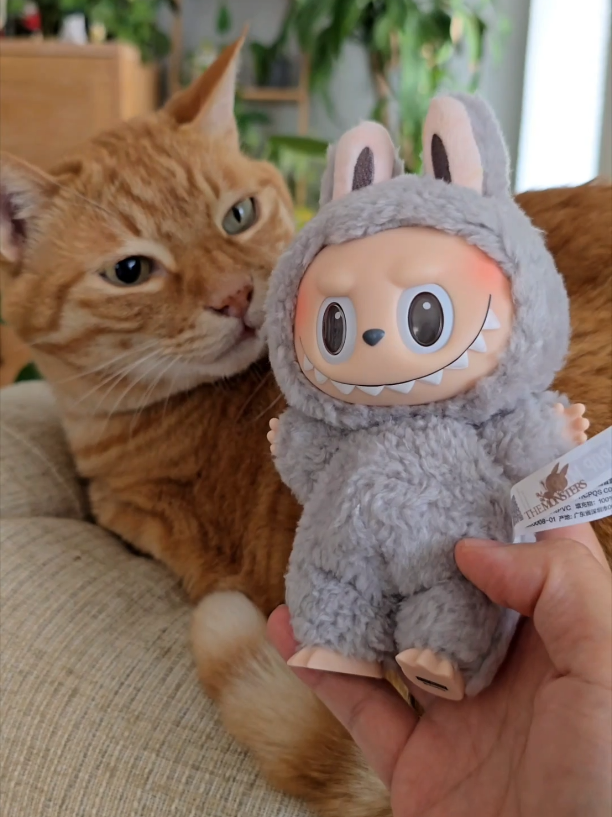My second Labubu arrived today! This time the delivery guy handled it gently. It's the Sesame Bean version-so cute! My cat likes it too! #labubu #macaron #cat #popmart 