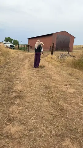 when your dad hasn’t practiced his golf swing in a while #funnyvideos #snake #fear #whackedintheface #afv 