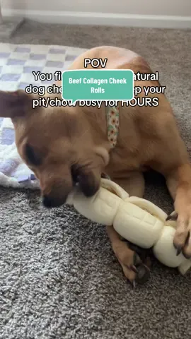 One of these last soo long and pretty much everything else she gets through super fast! 😂 #dogsoftiktok #dogmom #dogdad #dogchews #tiktokshopcreatorpicks 