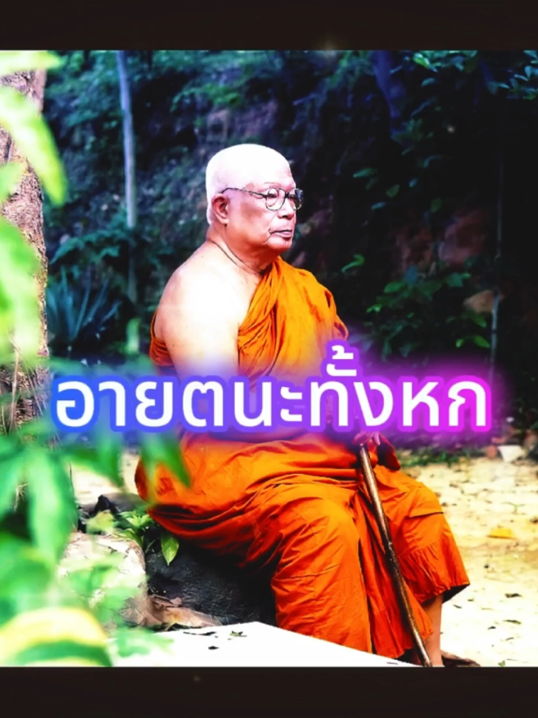 อายตนะทั้งหก (ตา หู จมูก ลิ้น กาย ใจ) เราต้องควบคุมให้ได้จึงจะไม่เป็นทุกข์ #ท่านพุทธทาส #เบื่อ #ความทุกข์  #เป็นทุกข์ #ดับทุกข์ 