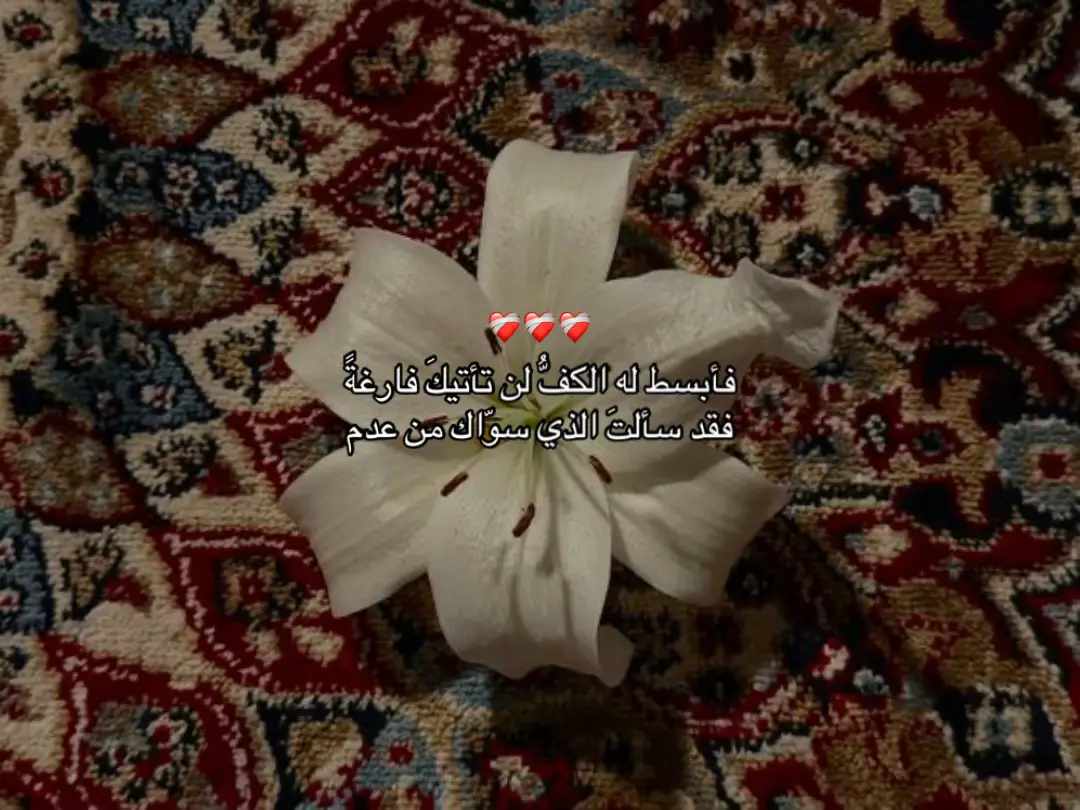 #عمر_ضياء_الدين #quran #واجعلنا_من_أهل_الجنة 
