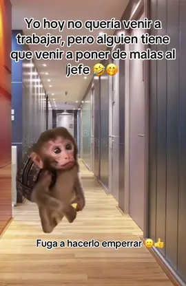 #Meme #Memecut #CapCut #humortiktok #humor #risastiktok🤣🤣🤣🤣😅😅😅 #humortiktok🤣😜😅😂🤪 #jefe #trabajar #malas #trabajo #reirparanollorar 