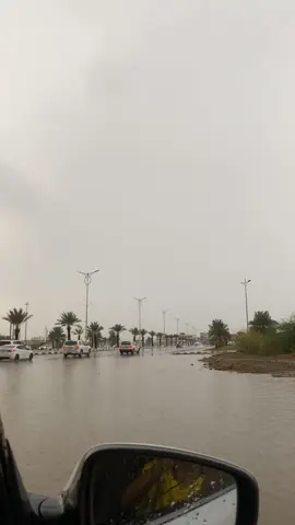 #جازان_اغسطس