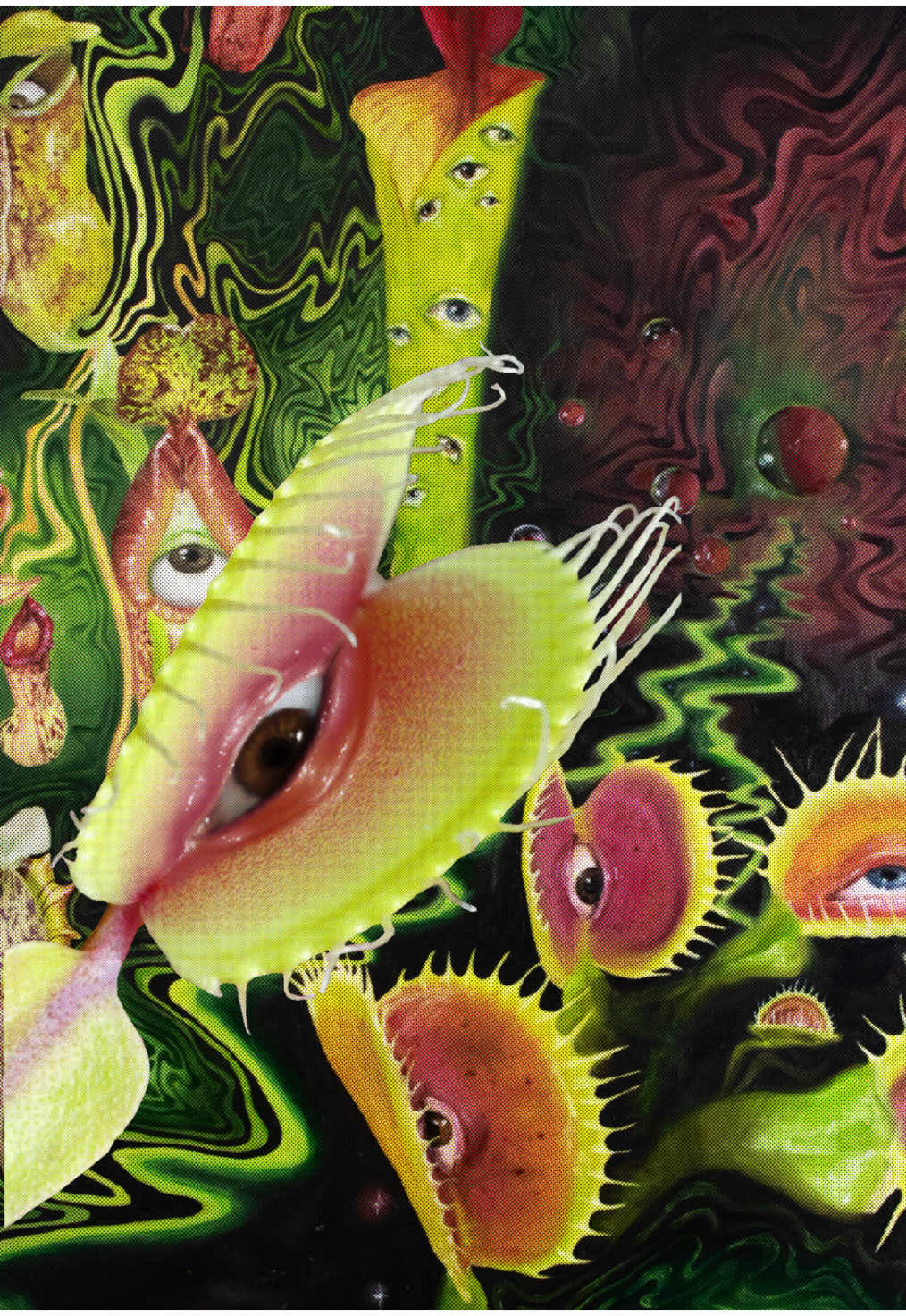 Plantita carnívora 🌱⋆ ˚ 🌹꩜ ｡ #videocollage #collage #venusflytrap #carnivorousplant #arte