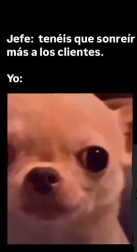 🥴#humortiktok 