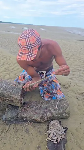 pegando e comendo turu 