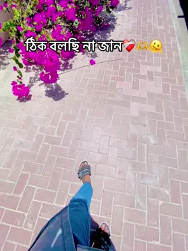 #xsif #fyp #unfrezzmyaccount #foryou #bdtiktokofficial 