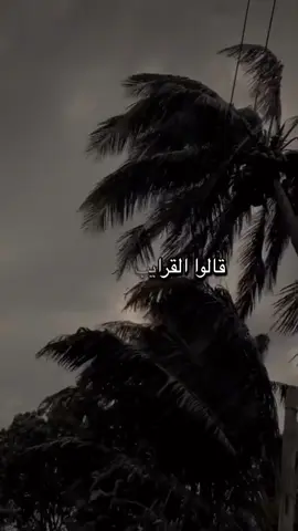 يارب ولف بين قلوب البشر #القرايب #foryoupage #نصيحه #حكمه #foryoupage 