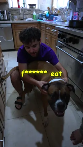 W or L DOG?😭😭😭 #yedog #yesquaddog #yesquadhouse 