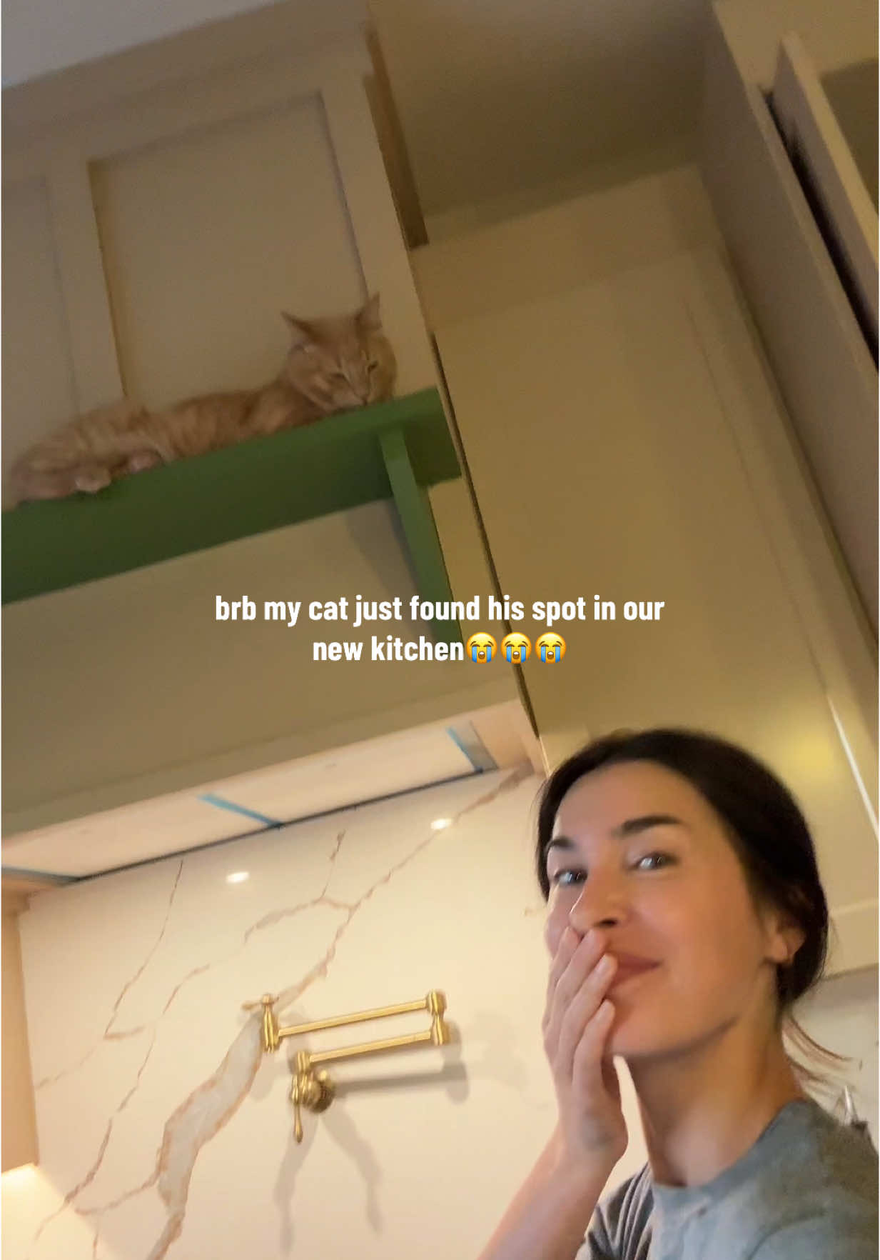 crying before the onions even came out I’ll cook everyday for you hunni😭🥹😻 #cats #cutecat #catdmom #cute #homedecor 