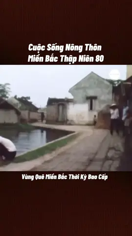Vùng nông thôn Bắc bộ thập niên 80. Thời kỳ bao cấp.  #nongthonvietnam #nongthonbacbo #Kyucxua #đamcuoixua #quehuongvietnam 