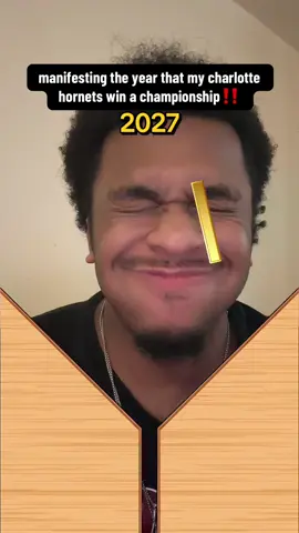 Manifesting a charlotte hornets championship! Sorry LaMelo ball plz leave! 