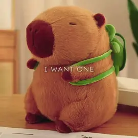 #capybara #fyp #xyzbca #fypage #viral 