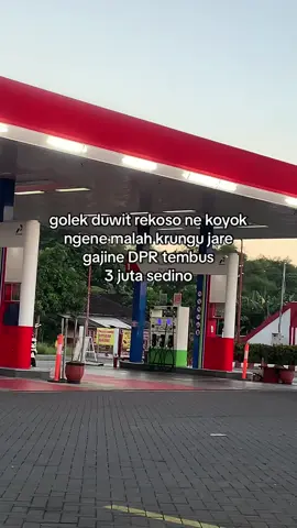 inpo lowongan dadi dpr bolo #masukberanda #berandatiktok #bahanswmu #tiktok 