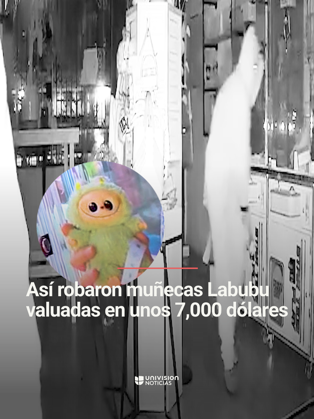 🚨 Así robaron muñecas Labubu valuadas en unos 7,000 dólares. Los ladrones se llevaron todas las muñecas y demás mercancía de la tienda One Stop Sales para después huir en una camioneta robada. Los Labubu, creados por el artista Kasing Lung, se han popularizado en todo el mundo. Mientras tanto, las autoridades están investigando el caso y están buscando dar con los responsables. #labubus #robo #criminalidad #crimen #crimen #Uninoticias #UnivisionNoticias