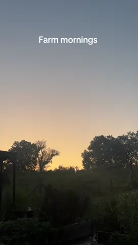 Took this video standing in my driveway 🫶🏻🫶🏻🫶🏻 nothing beats the peace of living in the middle of nowhere #homestead #homesteading #peacefulmorning #farm #farming 