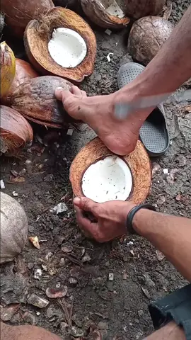 coconut kopras