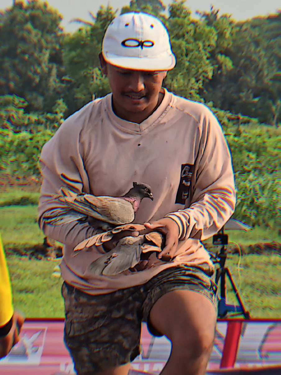 KERA SAKTI PAS BABAK 1 #Reels #Fyp #Newrampok #Merpatilovers #Merpatiindonesia