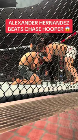 What a finish 😱 #UFC #mma #ufc319 #ko #punch 