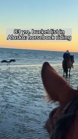 I was SO CLOSE to that eagle! 🦅 Horseback riding on the shore of Homer, Alaska far exceeded my wildest dreams. 