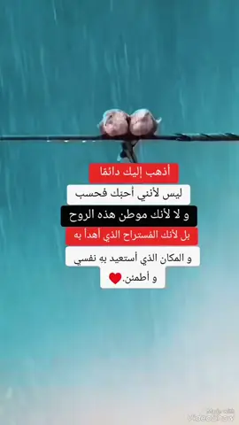#في هذا اليوم 