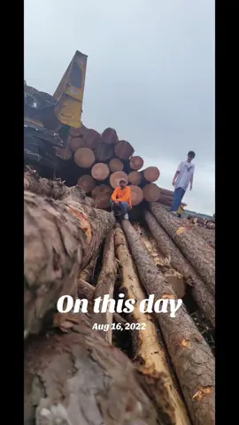 #onthisday