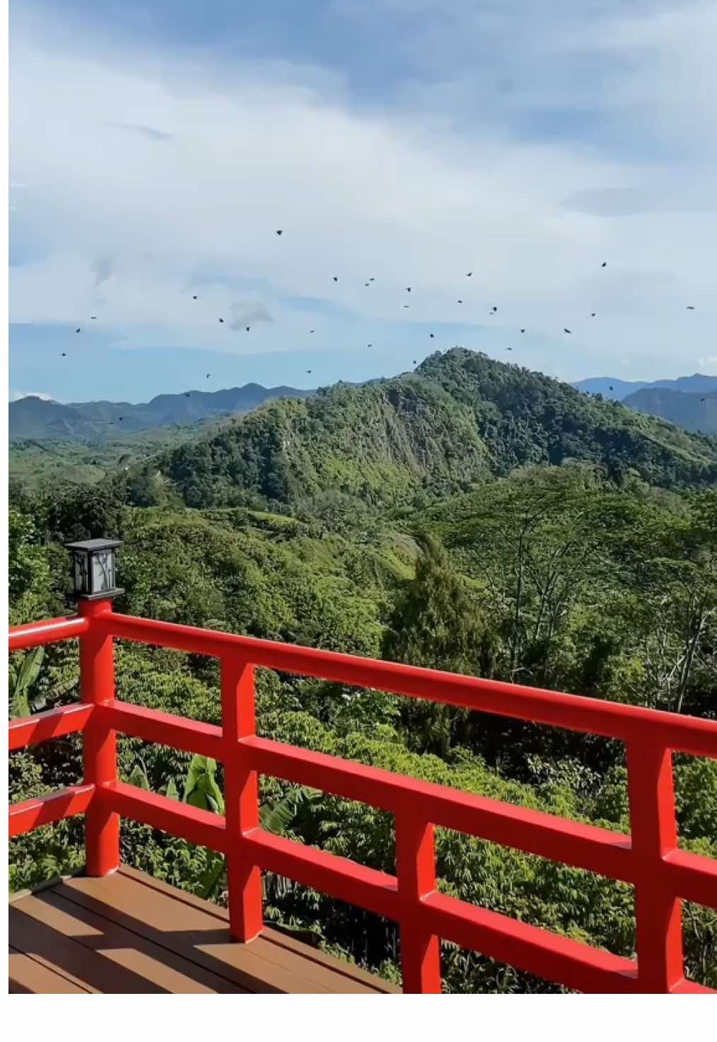 ?SeaClouds Mountain View Resort, Marilog, Davao City #nature #fyp #foryou #davao #buda 