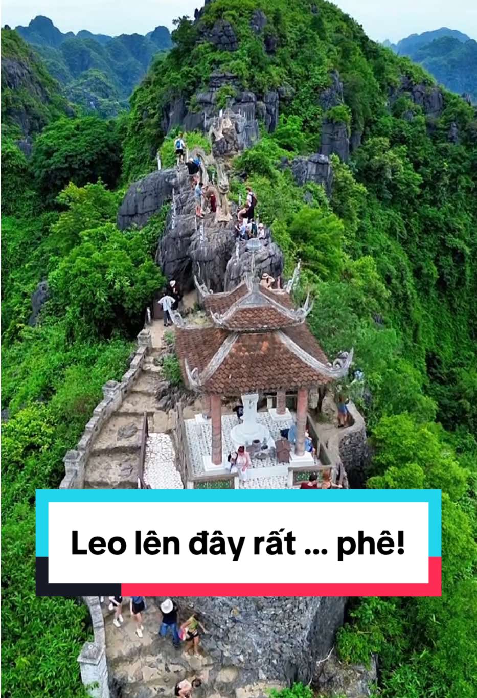 Ở đâu vậy? Leo lên đây rất phê! #muacave #ninhbinh #lethanhhai #dilasuong #viral 