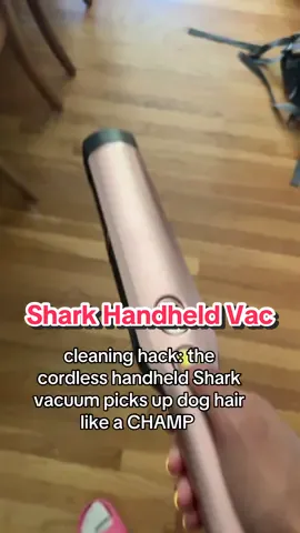 this is THE most satisfying 😎🤩 @Shark Home FTW!! #cleaningday #sharkvacuums #handvac #cleaningtool #vacuumtok 